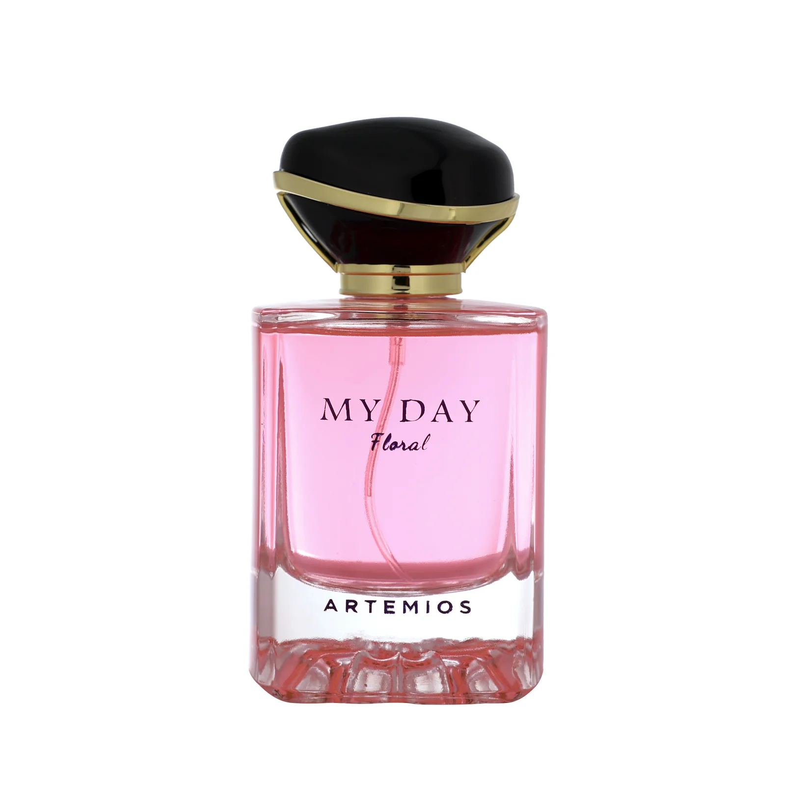 Artemios Haul Eau De Parfum 100ml – Woody Aromatic Perfume for Men